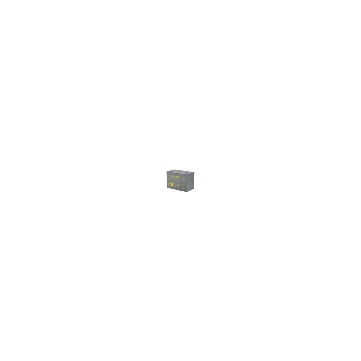 BATTERIE CSB HRL12330WFR 12V / 350W / 101AH