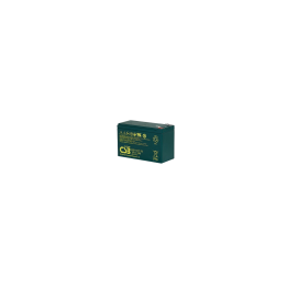 BATTERIE CSB EVX1272 12V / 7.2AH