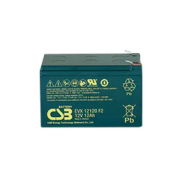Batteries EVX